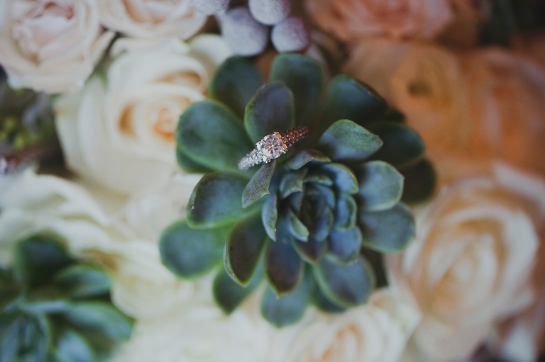 Tessa Pierce Photography | DFW Family, Portrait, and Wedding Photography